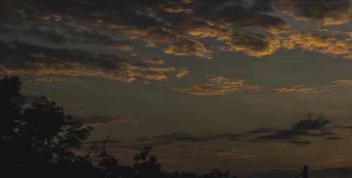 Sunrise Time-Lapse Over a Silhouette of Trees
