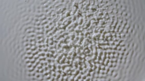 Wave Motion of the Surface of a White Viscous Liquid of Milk When Excited By Vibration