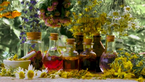 Herbal Remedies and Flowers in a Natural Setting