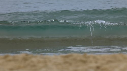 Olas