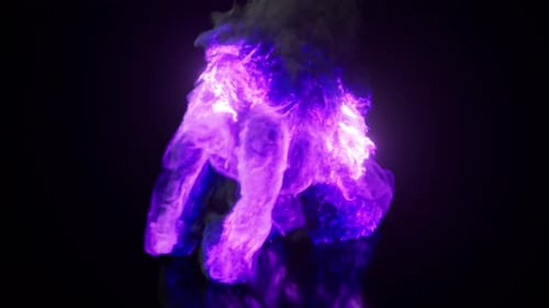 Burning Sammlung