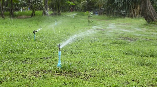 Watering The Lawn