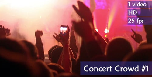 Vibrant Crowd Enjoys Live Music at Night