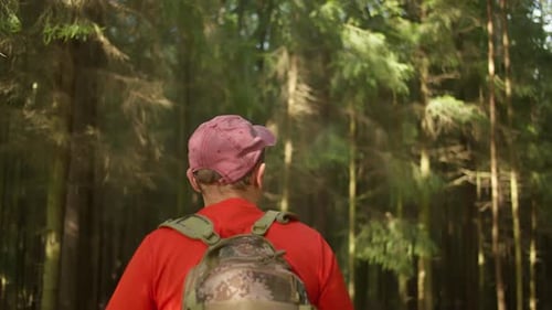 Male Tourist with a Backpack Walks Through the Forest Camera Tracking