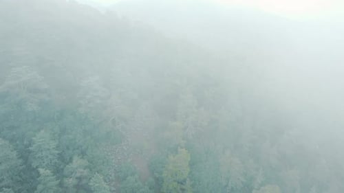 Misty Mountain Forest Aerial View