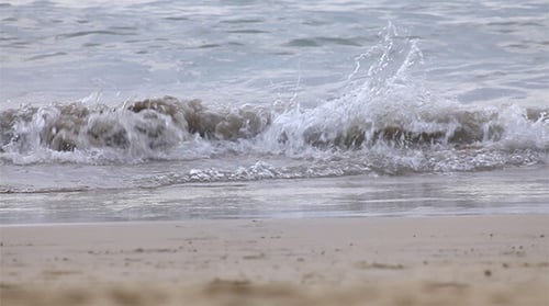 Tide