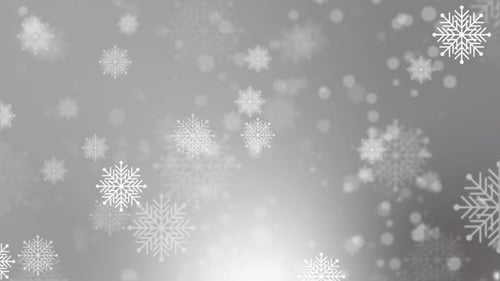 Snowflakes Loop