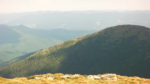 Foggy Morning Scene in the Carpathian Mountains