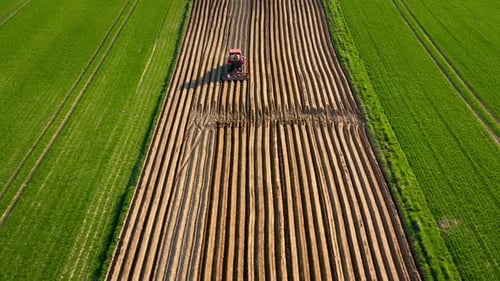Aerial View of Tractor Performs Seeding on the Field