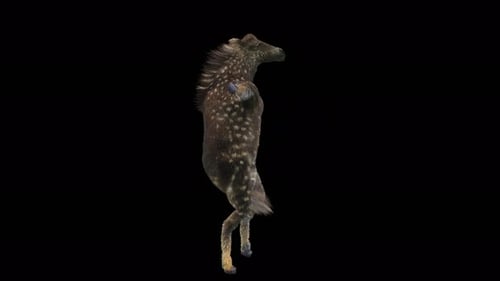 31 Deer Dancing 4K