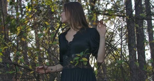 Slim Brunette Caucasian Girl with Brown Eyes Standing in the Forest in the Evening and Looking Up