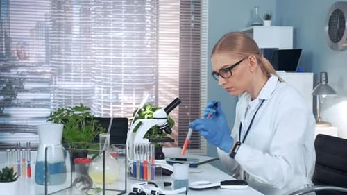 Woman Scientist Working in Bright Urban Lab