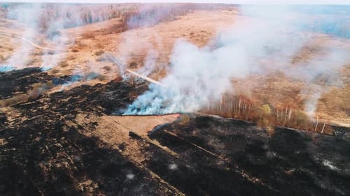 Large Burnt Field Covered in Black Soot. Fire Spreads in Several Places. Great Smoke From Burning