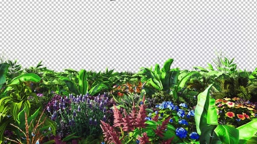 Pflanzen und Blumen