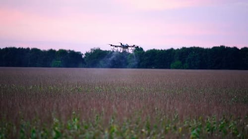 Agricultural Drone Spraying Crops in the Field at Sunrise