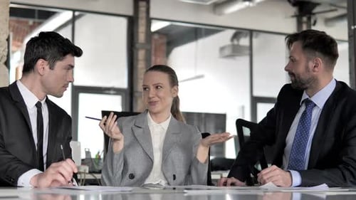 Business Colleagues Meeting in Modern Office