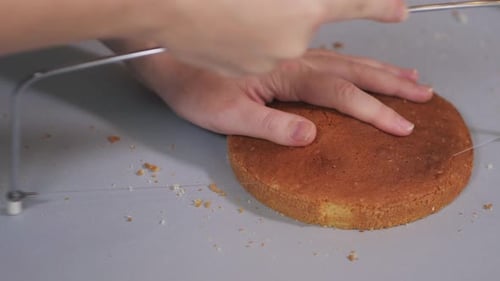 Hands Slicing Round Cake in Kitchen