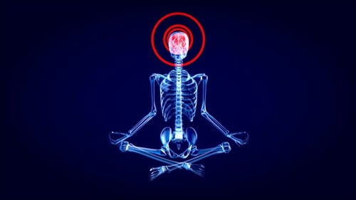 3D Creative abstract zen skeleton