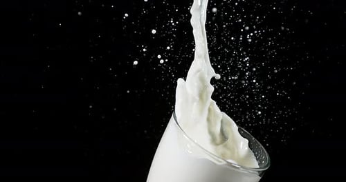Leche explosiva contra fondo negro, cámara lenta 4K