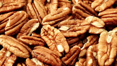 Pecan Nuts as Food Background