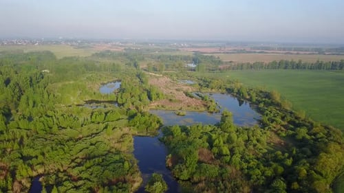 Der Sumpf. Stadt Vitebsk.