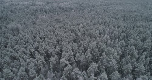 Winterlandschaft Wald