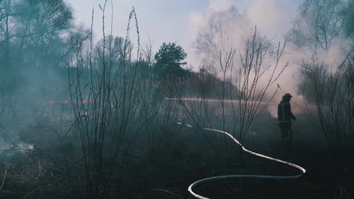 Two Firefighters in Equipment Extinguish Forest Fire with Fire Hose. Slow Motion