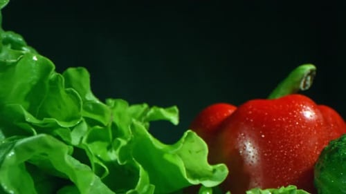 Fresh Vegetables with Water Droplets Close Up
