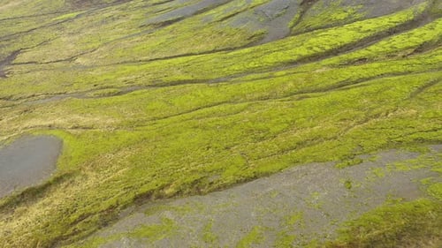 Flying Above a Huge Volcanic Plateau, Lava Flow with Vibrant Green Moss in Iceland