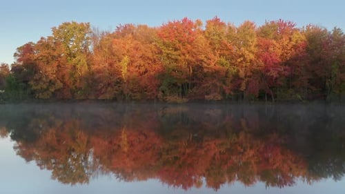 Cinematic Fall Foliage Forest Reflecting in the Still Surface of Lake Water