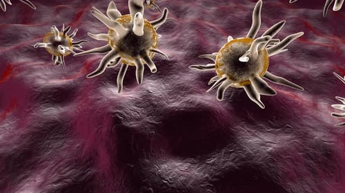 Microscopic Cells Moving on Biological Tissue Animation