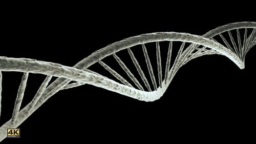 Rotating DNA Double Helix Animation for Medical Science Projects