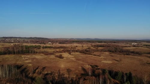 A forest glade bathed.