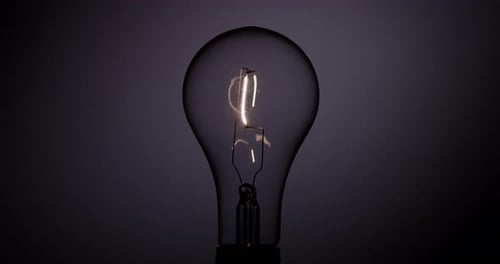 Light Bulb