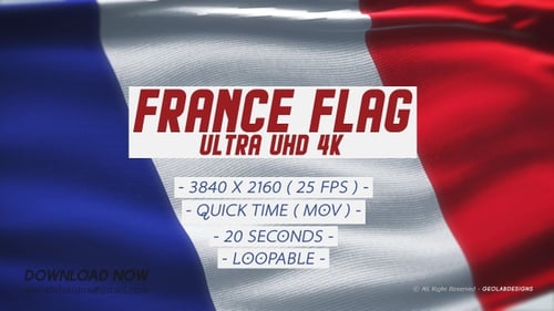 Seamlessly Looping Waving Flag of France