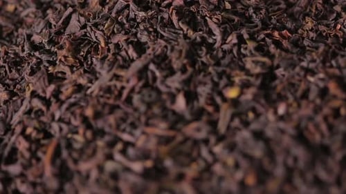 Black Dried Tea Leaves