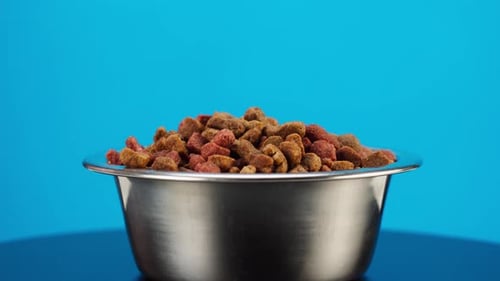 Dry Pet Food in Metal Bowl close up