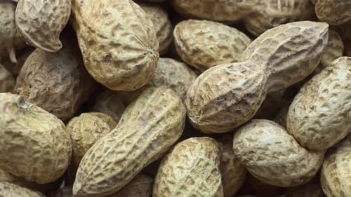 Close Up of Shelled Peanuts