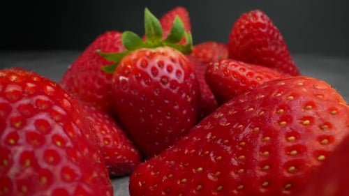 Rote Früchte