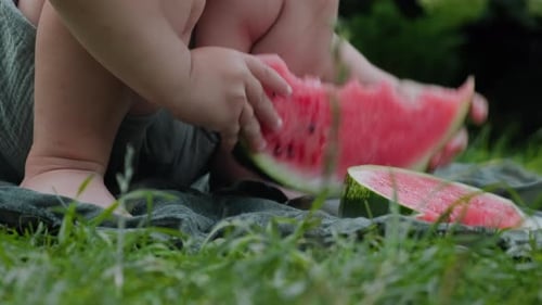 Child Eating Watermelon Outdoors on Green Grass