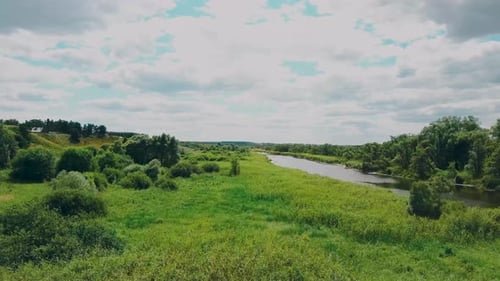 the River Goes Into the Distance Surrounded By Green Trees on a Clear Day