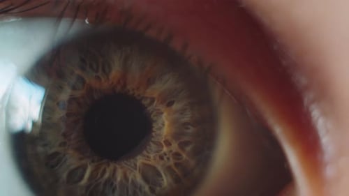 Perfect Brown Eye Macro in a Sterile Environment and Perfect Vision