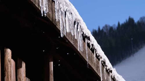 Icicles Melt and Dripping on the Sun Hanging From the Roof of Wooden House. Slow Motion