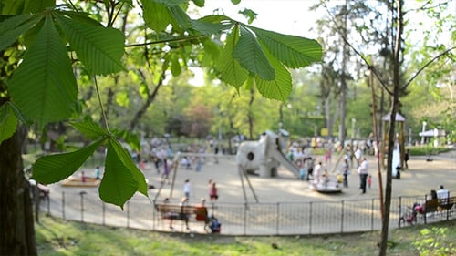 Kids Playing At Park Playground