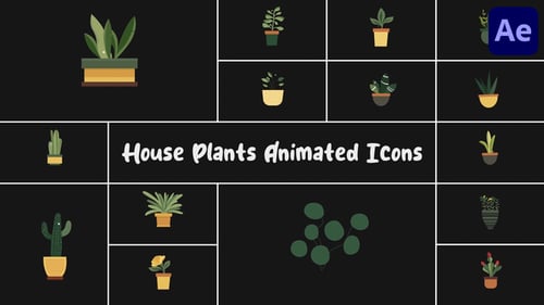 House Plants Animated Icons for After Effects