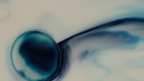 Fluid Abstract Motion Background