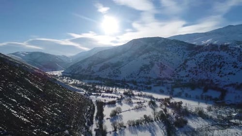 Winter Sun