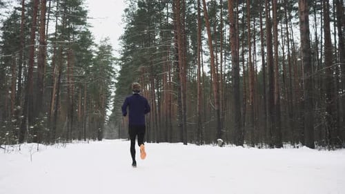 Runner Jogging on Snowy Path in Winter Forest