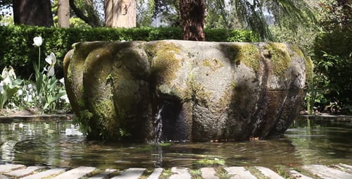 Park Fountain 04