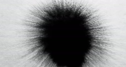 Ink Water Splash Reveal Transition Black Dye Stain